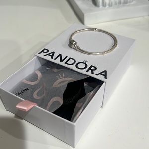 Pandora Bracelet
